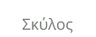 Σκύλος