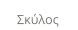 Σκύλος