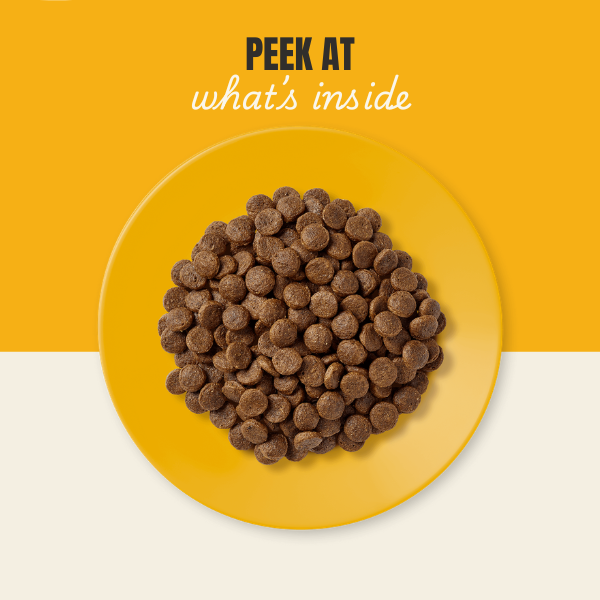Applaws Dry Food Cat Chicken Grain Free 