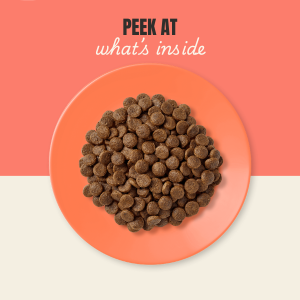 Applaws Dry Food Cat Chicken with Salmon Grain Free