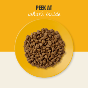 Applaws Dry Food Kitten Chicken Grain Free