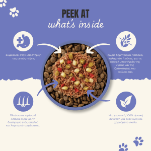 Applaws Variety Selection in Broth | Natural Wet Dog Food Multipack Applaws Variety Selection in Broth | Natural Wet Dog Food Multipack