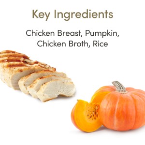 Applaws Cat Pouch Chicken Breast with Pumpkin in Broth Applaws Cat Pouch Chicken Breast with Pumpkin in Broth