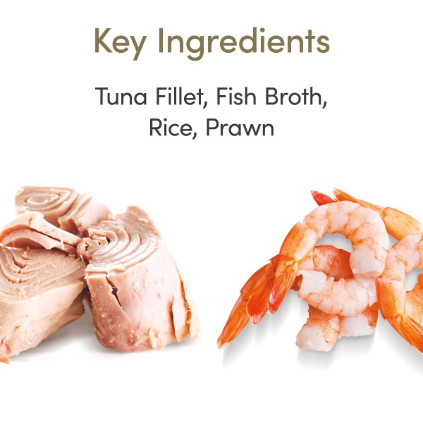 Applaws Cat Pot Tuna Fillet with Prawn in Broth Applaws Cat Pot Tuna Fillet with Prawn in Broth