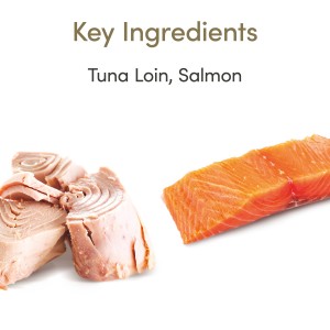 Applaws Cat Tin Senior Tuna with Salmon in Jelly Applaws Cat Tin Senior Tuna with Salmon in Jelly