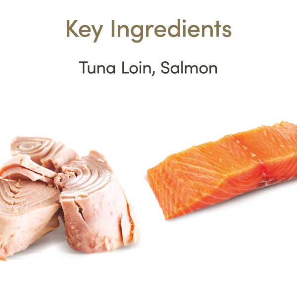 Applaws Cat Tin Senior Tuna with Salmon in Jelly Applaws Cat Tin Senior Tuna with Salmon in Jelly