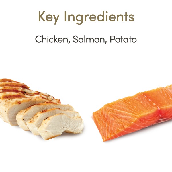 Applaws Dry Food Cat Chicken with Salmon Grain Free Applaws Dry Food Cat Chicken with Salmon Grain Free