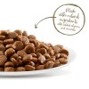 Applaws Dry Food Cat Chicken with Salmon Grain Free Applaws Dry Food Cat Chicken with Salmon Grain Free