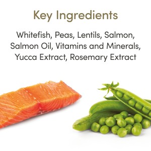 Applaws Dry Food Cat Ocean Fish with Salmon Grain Free Applaws Dry Food Cat Ocean Fish with Salmon Grain Free