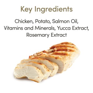 Applaws Dry Food Kitten Chicken Grain Free Applaws Dry Food Kitten Chicken Grain Free