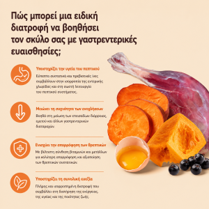 Ξηρή Τροφή Σκύλου Arden Grange Vet Care Gastrointestinal 