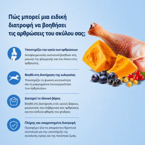Ξηρή Τροφή Σκύλου Arden Grange Vet Care Joint Care