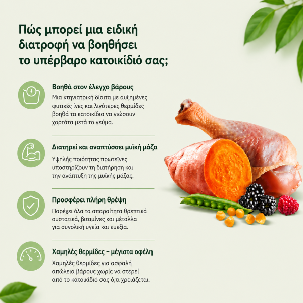 Arden Grange Vet Care Weight Control ξηρά τροφή για σκύλους – κτηνιατρική δίαιτα για υπέρβαρους σκύλους και διαχείριση βάρους, διαθέσιμη στην Ελλάδα από τη Milann Hellas