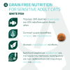 Arden Grange Sensitive Cat - Ψάρι & Πατάτα Grain Free Arden Grange Sensitive υποαλλεργική ξηρή τροφή γάτας με ψάρι grain free