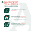 Arden Grange Puppy dry dog food with fresh chicken and rice – complete and balanced nutrition for puppies and junior dogs, available in Greece through Milann Hellas