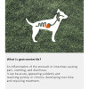 Arden Grange Vet Care Gastrointestinal Ξηρά Τροφή για Σκύλους Arden Grange Vet Care Gastrointestinal ξηρά τροφή για σκύλους – κτηνιατρική δίαιτα για σκύλους με πεπτικά προβλήματα, διαθέσιμη στην Ελλάδα από τη Milann Hellas