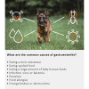 Arden Grange Vet Care Gastrointestinal Ξηρά Τροφή για Σκύλους Arden Grange Vet Care Gastrointestinal ξηρά τροφή για σκύλους – κτηνιατρική δίαιτα για σκύλους με πεπτικά προβλήματα, διαθέσιμη στην Ελλάδα από τη Milann Hellas