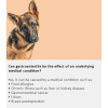 Arden Grange Vet Care Gastrointestinal Ξηρά Τροφή για Σκύλους Arden Grange Vet Care Gastrointestinal ξηρά τροφή για σκύλους – κτηνιατρική δίαιτα για σκύλους με πεπτικά προβλήματα, διαθέσιμη στην Ελλάδα από τη Milann Hellas