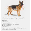 Arden Grange Vet Care Gastrointestinal Ξηρά Τροφή για Σκύλους Arden Grange Vet Care Gastrointestinal ξηρά τροφή για σκύλους – κτηνιατρική δίαιτα για σκύλους με πεπτικά προβλήματα, διαθέσιμη στην Ελλάδα από τη Milann Hellas