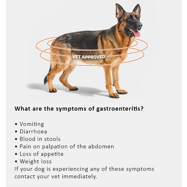 Arden Grange Vet Care Gastrointestinal Ξηρά Τροφή για Σκύλους Arden Grange Vet Care Gastrointestinal ξηρά τροφή για σκύλους – κτηνιατρική δίαιτα για σκύλους με πεπτικά προβλήματα, διαθέσιμη στην Ελλάδα από τη Milann Hellas