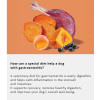 Arden Grange Vet Care Gastrointestinal Ξηρά Τροφή για Σκύλους Arden Grange Vet Care Gastrointestinal ξηρά τροφή για σκύλους – κτηνιατρική δίαιτα για σκύλους με πεπτικά προβλήματα, διαθέσιμη στην Ελλάδα από τη Milann Hellas