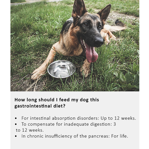 Arden Grange Vet Care Gastrointestinal Ξηρά Τροφή για Σκύλους Arden Grange Vet Care Gastrointestinal ξηρά τροφή για σκύλους – κτηνιατρική δίαιτα για σκύλους με πεπτικά προβλήματα, διαθέσιμη στην Ελλάδα από τη Milann Hellas