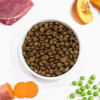 Arden Grange Vet Care Gastrointestinal Ξηρά Τροφή για Σκύλους Arden Grange Vet Care Gastrointestinal ξηρά τροφή για σκύλους – κτηνιατρική δίαιτα για σκύλους με πεπτικά προβλήματα, διαθέσιμη στην Ελλάδα από τη Milann Hellas