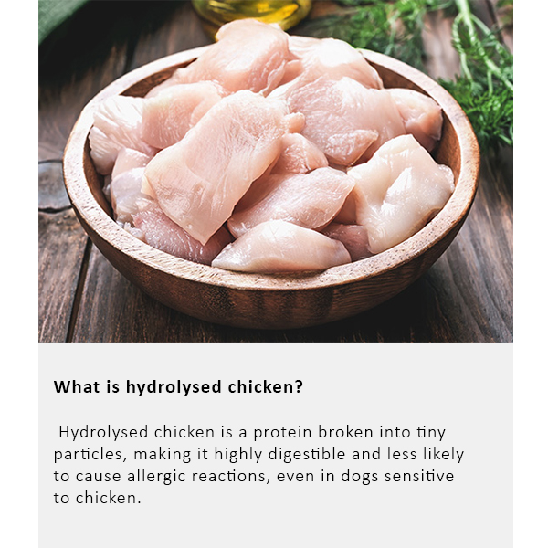 Arden Grange Vet Care Hypoallergenic ξηρά τροφή για σκύλους – κτηνιατρική δίαιτα για σκύλους με τροφικές αλλεργίες και δυσανεξίες, διαθέσιμη στην Ελλάδα από τη Milann Hellas
