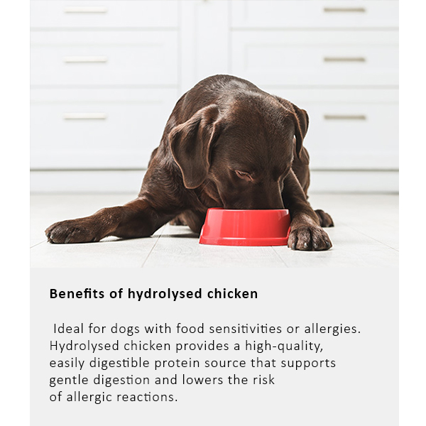 Arden Grange Vet Care Hypoallergenic ξηρά τροφή για σκύλους – κτηνιατρική δίαιτα για σκύλους με τροφικές αλλεργίες και δυσανεξίες, διαθέσιμη στην Ελλάδα από τη Milann Hellas