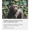 Arden Grange Vet Care Hypoallergenic ξηρά τροφή για σκύλους – κτηνιατρική δίαιτα για σκύλους με τροφικές αλλεργίες και δυσανεξίες, διαθέσιμη στην Ελλάδα από τη Milann Hellas