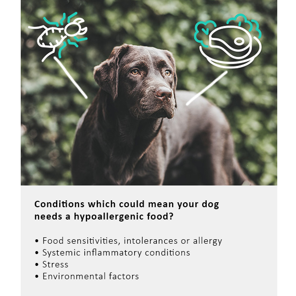 Arden Grange Vet Care Hypoallergenic ξηρά τροφή για σκύλους – κτηνιατρική δίαιτα για σκύλους με τροφικές αλλεργίες και δυσανεξίες, διαθέσιμη στην Ελλάδα από τη Milann Hellas