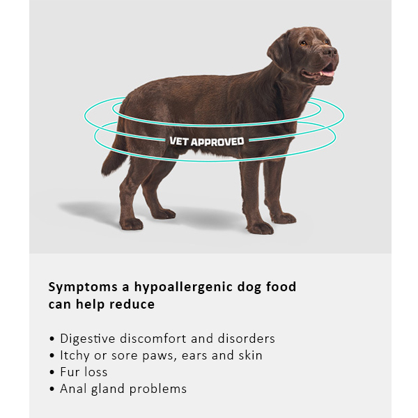 Arden Grange Vet Care Hypoallergenic ξηρά τροφή για σκύλους – κτηνιατρική δίαιτα για σκύλους με τροφικές αλλεργίες και δυσανεξίες, διαθέσιμη στην Ελλάδα από τη Milann Hellas