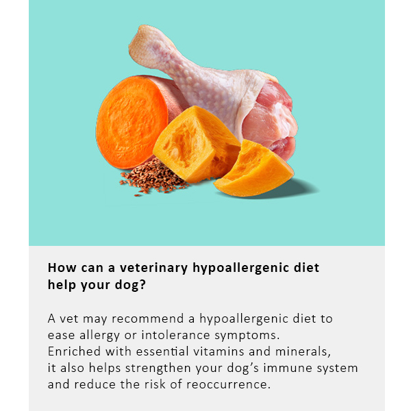 Arden Grange Vet Care Hypoallergenic ξηρά τροφή για σκύλους – κτηνιατρική δίαιτα για σκύλους με τροφικές αλλεργίες και δυσανεξίες, διαθέσιμη στην Ελλάδα από τη Milann Hellas