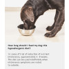 Arden Grange Vet Care Hypoallergenic ξηρά τροφή για σκύλους – κτηνιατρική δίαιτα για σκύλους με τροφικές αλλεργίες και δυσανεξίες, διαθέσιμη στην Ελλάδα από τη Milann Hellas