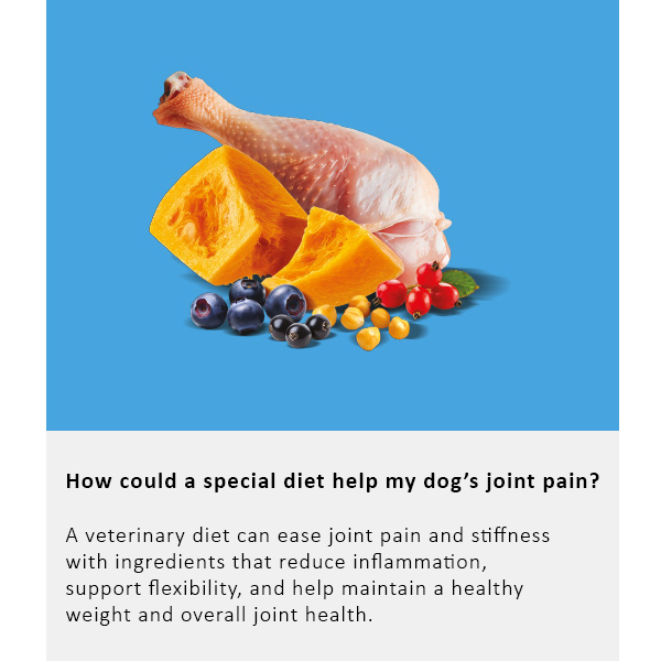 Arden Grange Vet Care Joint Care Ξηρά Τροφή για Σκύλους Arden Grange Vet Care Joint Care ξηρά τροφή για σκύλους – κτηνιατρική δίαιτα για σκύλους με προβλήματα αρθρώσεων και κινητικότητας, διαθέσιμη στην Ελλάδα από τη Milann Hellas