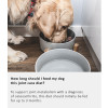 Arden Grange Vet Care Joint Care Ξηρά Τροφή για Σκύλους Arden Grange Vet Care Joint Care ξηρά τροφή για σκύλους – κτηνιατρική δίαιτα για σκύλους με προβλήματα αρθρώσεων και κινητικότητας, διαθέσιμη στην Ελλάδα από τη Milann Hellas