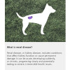 Arden Grange Vet Care Renal Ξηρά Τροφή για Σκύλους Arden Grange Vet Care Renal ξηρά τροφή για σκύλους – κτηνιατρική δίαιτα για σκύλους με νεφρική νόσο και προβλήματα νεφρών, διαθέσιμη στην Ελλάδα από τη Milann Hellas