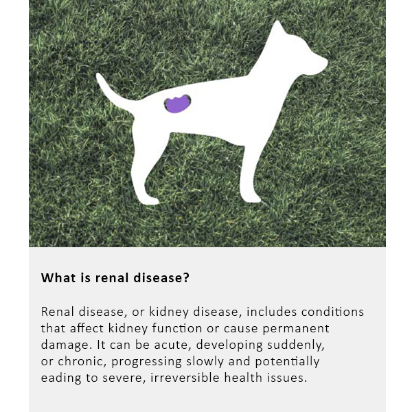 Arden Grange Vet Care Renal Ξηρά Τροφή για Σκύλους Arden Grange Vet Care Renal ξηρά τροφή για σκύλους – κτηνιατρική δίαιτα για σκύλους με νεφρική νόσο και προβλήματα νεφρών, διαθέσιμη στην Ελλάδα από τη Milann Hellas