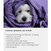Arden Grange Vet Care Renal Ξηρά Τροφή για Σκύλους Arden Grange Vet Care Renal ξηρά τροφή για σκύλους – κτηνιατρική δίαιτα για σκύλους με νεφρική νόσο και προβλήματα νεφρών, διαθέσιμη στην Ελλάδα από τη Milann Hellas