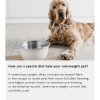 Arden Grange Vet Care Weight Control Ξηρά Τροφή για Σκύλους Arden Grange Vet Care Weight Control ξηρά τροφή για σκύλους – κτηνιατρική δίαιτα για υπέρβαρους σκύλους και διαχείριση βάρους, διαθέσιμη στην Ελλάδα από τη Milann Hellas