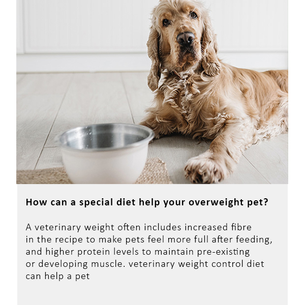 Arden Grange Vet Care Weight Control Ξηρά Τροφή για Σκύλους Arden Grange Vet Care Weight Control ξηρά τροφή για σκύλους – κτηνιατρική δίαιτα για υπέρβαρους σκύλους και διαχείριση βάρους, διαθέσιμη στην Ελλάδα από τη Milann Hellas