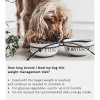 Arden Grange Vet Care Weight Control Ξηρά Τροφή για Σκύλους Arden Grange Vet Care Weight Control ξηρά τροφή για σκύλους – κτηνιατρική δίαιτα για υπέρβαρους σκύλους και διαχείριση βάρους, διαθέσιμη στην Ελλάδα από τη Milann Hellas