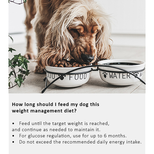 Arden Grange Vet Care Weight Control Ξηρά Τροφή για Σκύλους Arden Grange Vet Care Weight Control ξηρά τροφή για σκύλους – κτηνιατρική δίαιτα για υπέρβαρους σκύλους και διαχείριση βάρους, διαθέσιμη στην Ελλάδα από τη Milann Hellas
