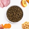 Arden Grange Vet Care Weight Control Ξηρά Τροφή για Σκύλους Arden Grange Vet Care Weight Control ξηρά τροφή για σκύλους – κτηνιατρική δίαιτα για υπέρβαρους σκύλους και διαχείριση βάρους, διαθέσιμη στην Ελλάδα από τη Milann Hellas