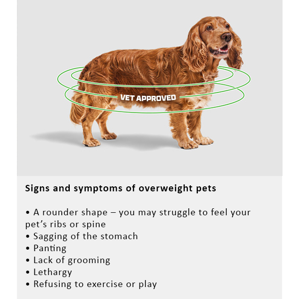 Arden Grange Vet Care Weight Control Ξηρά Τροφή για Σκύλους Arden Grange Vet Care Weight Control ξηρά τροφή για σκύλους – κτηνιατρική δίαιτα για υπέρβαρους σκύλους και διαχείριση βάρους, διαθέσιμη στην Ελλάδα από τη Milann Hellas