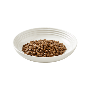 Encore Dry Cat Food with Chicken 800g