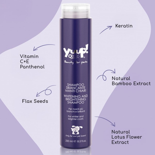 Yuup! Professional Whitening & Brightening Shampoo για Ανοιχτόχρωμα Τριχώματα | 250 ml Yuup! Professional Whitening & Brightening Shampoo για Ανοιχτόχρωμα Τριχώματα | 250 ml