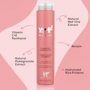 Yuup! Professional Black Revitalizing & Glossing Shampoo για Σκούρα Τριχώματα | 250 ml