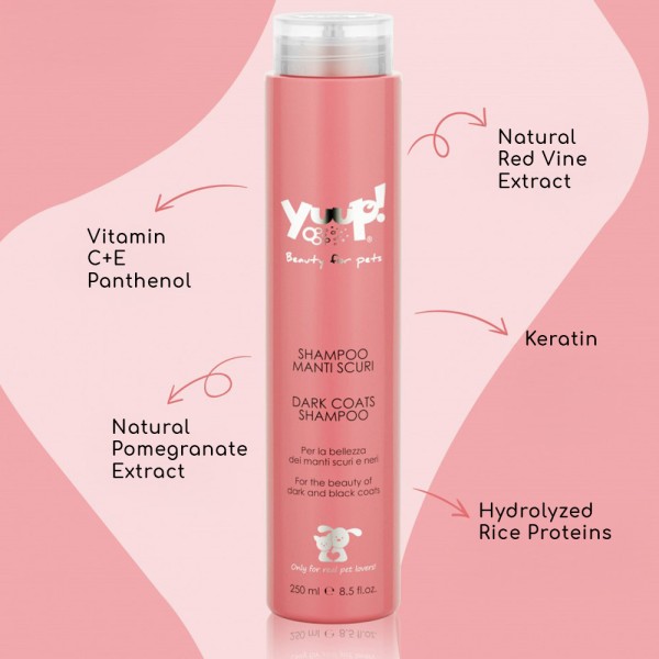 Yuup! Professional Black Revitalizing & Glossing Shampoo για Σκούρα Τριχώματα | 250 ml Yuup! Professional Black Revitalizing & Glossing Shampoo για Σκούρα Τριχώματα | 250 ml