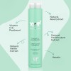 Yuup! Professional Shampoo Όγκου για Σκληρό Τρίχωμα | 250 ml Yuup! Professional Shampoo Όγκου για Σκληρό Τρίχωμα | 250 ml